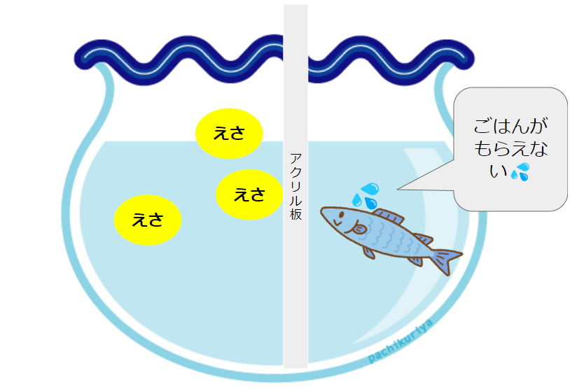 1匹の魚が入った水槽にアクリル板を入れ、エサをアクリル板の反対側に入れている様子。