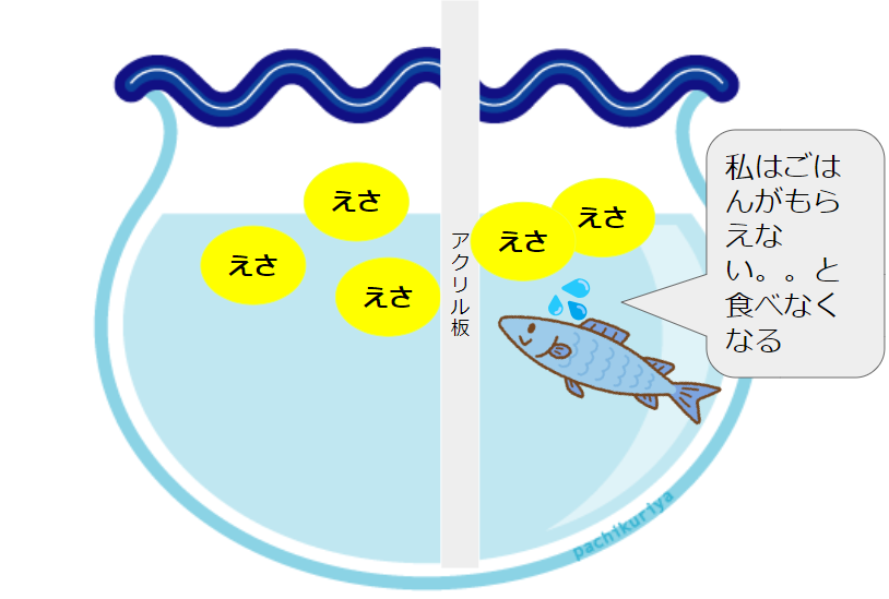 1匹の魚が入っている水槽で、エサを魚がいる方に入れても、魚がエサを食べていない様子