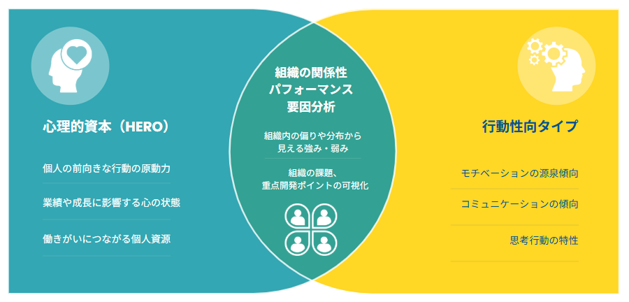 HEROIC診断で分かること